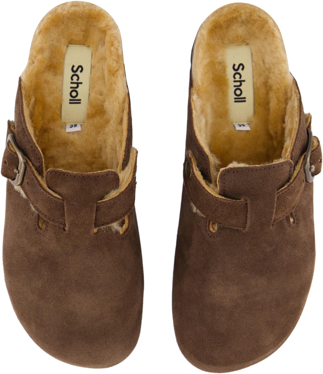 Scholl Dames Fae New F Bruin