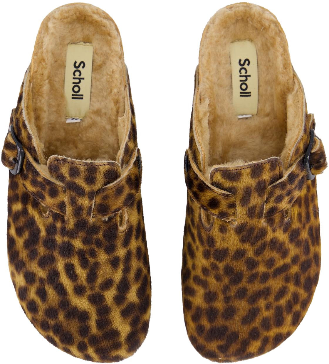 Scholl Dames Fae New F Bruin