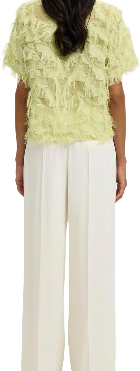 Selected Femme Selected Femme - SLFMYLINE SS BOAT NECK TOP B - 16101005 - Lint Groen