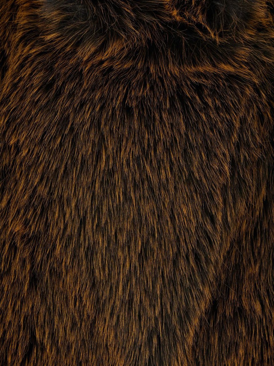 Semicouture Jackets Brown Bruin