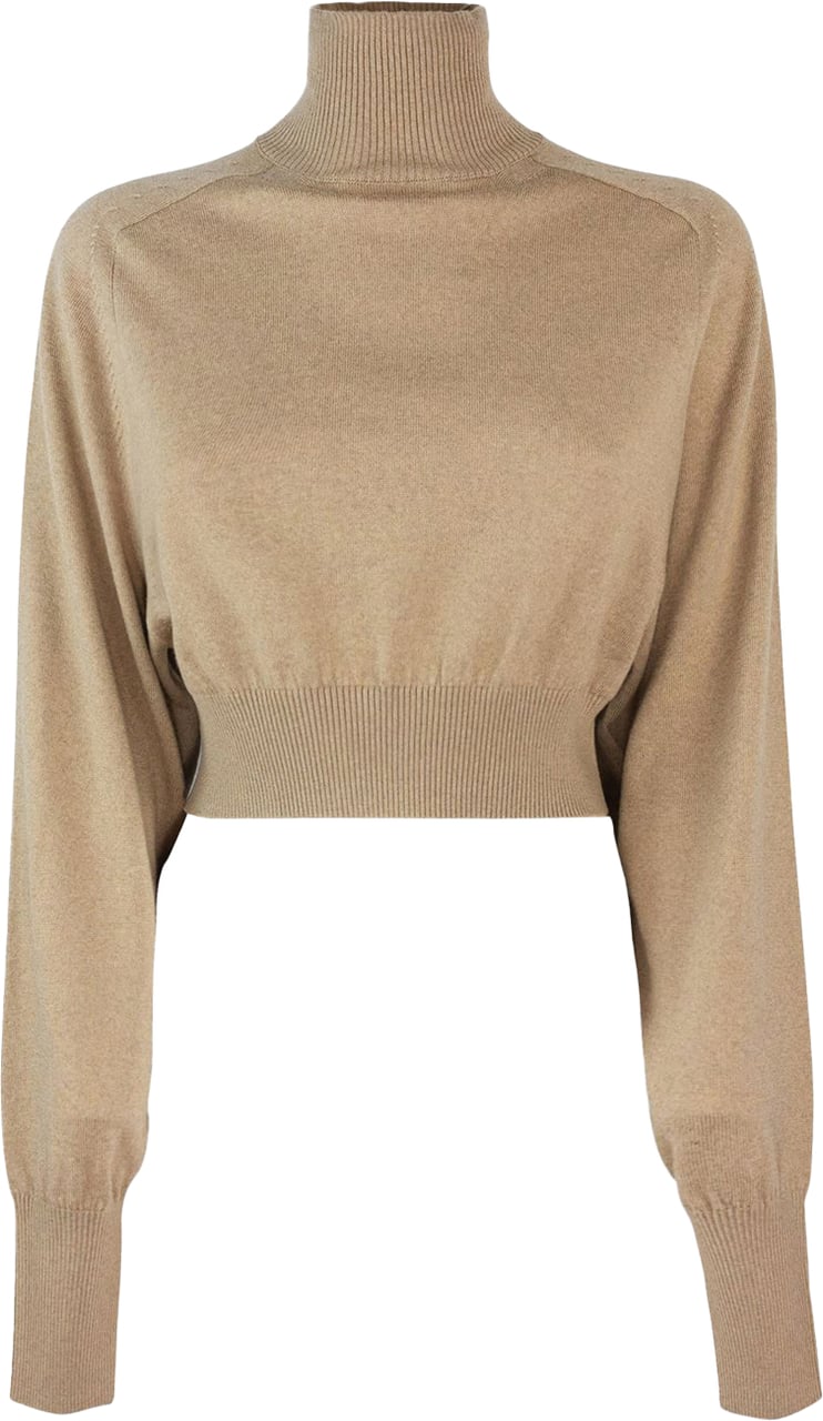 Sportmax Sweaters Brown Bruin