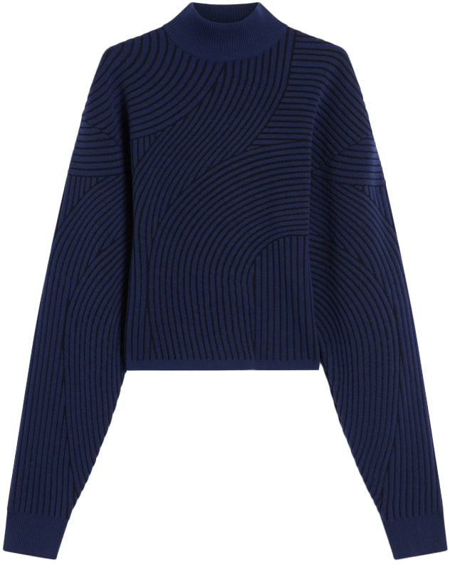 Sportmax Sweaters Blue Blauw