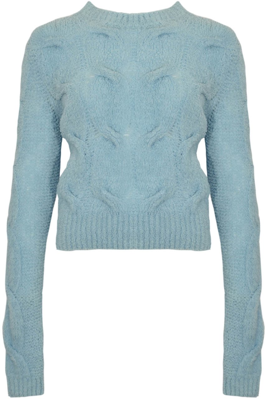 Sportmax Sweaters Clear Blue Blauw