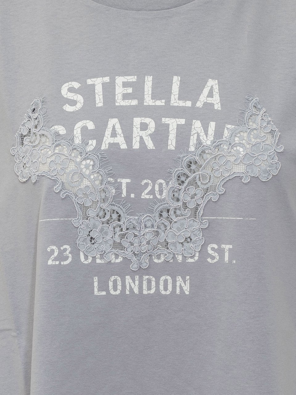 Stella McCartney Abito Sottoveste in Pizzo Grijs