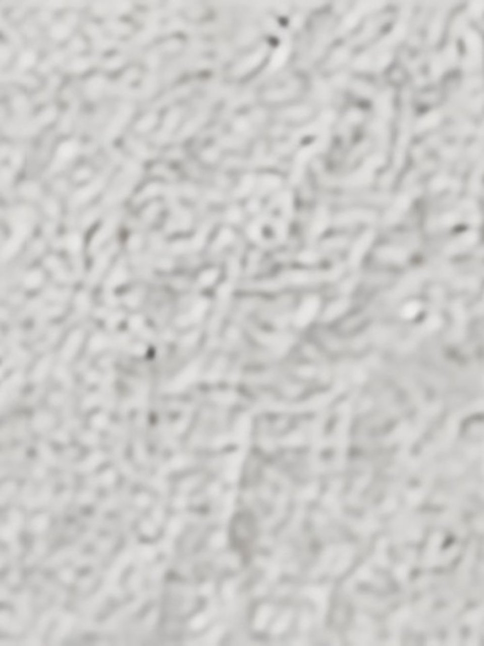 Stella McCartney Bags Grey Grijs