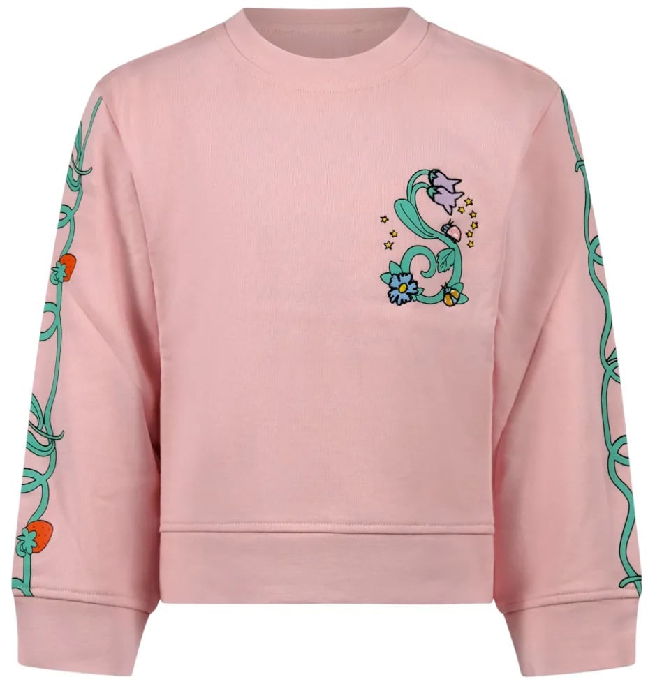Stella McCartney sweatshirt divers Divers