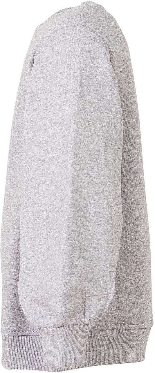 Stella McCartney Felpa Girocollo con Stampa Frontale Lichtgrijs