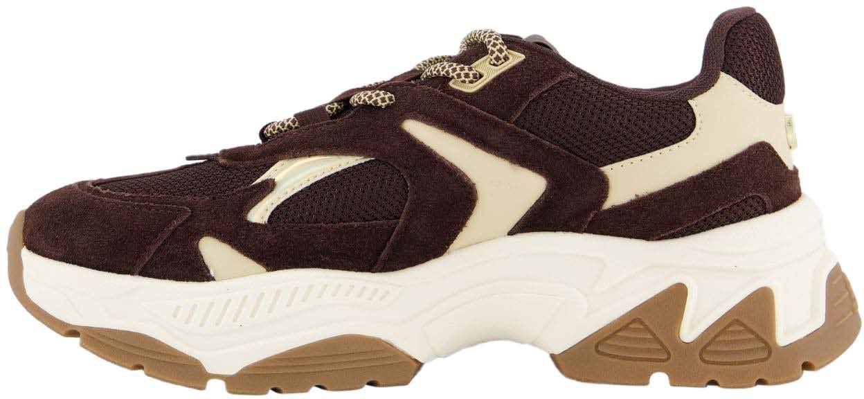 Steve Madden Dames Ample Sneaker Bruin Bruin