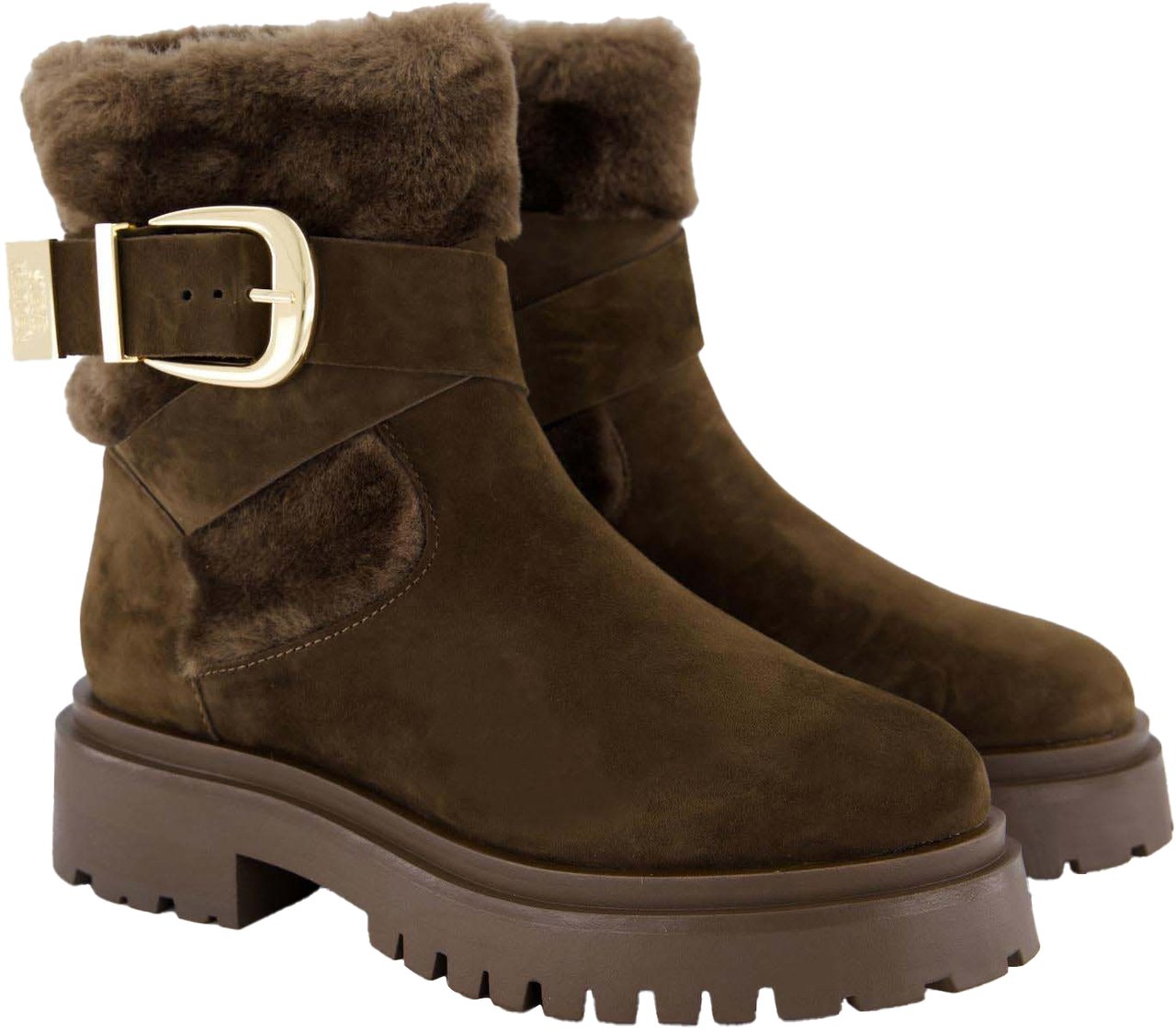Steve Madden Dames Lodge Booty Bruin Bruin