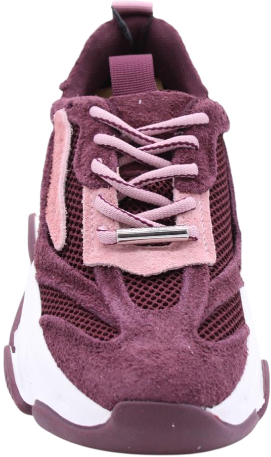Steve Madden Sneaker Purple Paars
