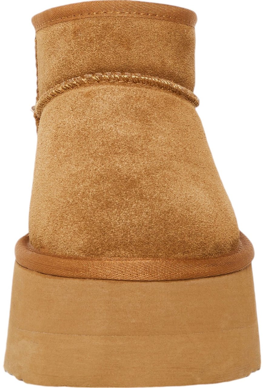 Steve Madden Dames Laars Bruin