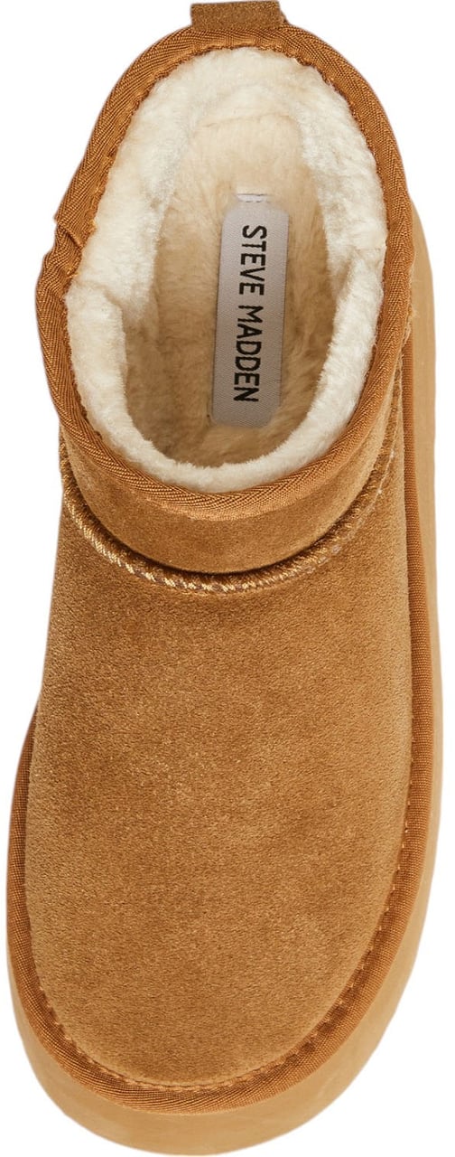 Steve Madden Dames Laars Bruin