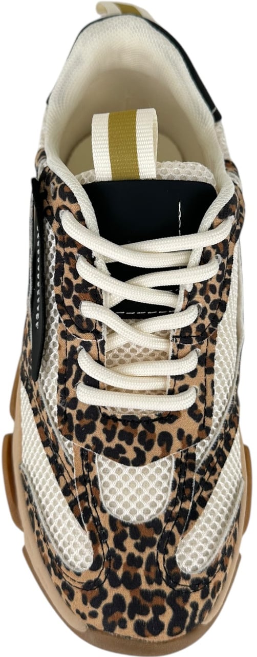 Steve Madden Meisjes Sneakers Bruin