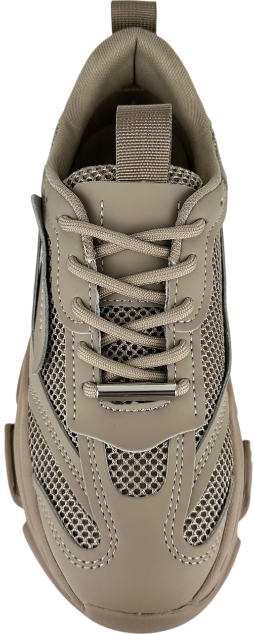 Steve Madden Dames Sneakers Bruin