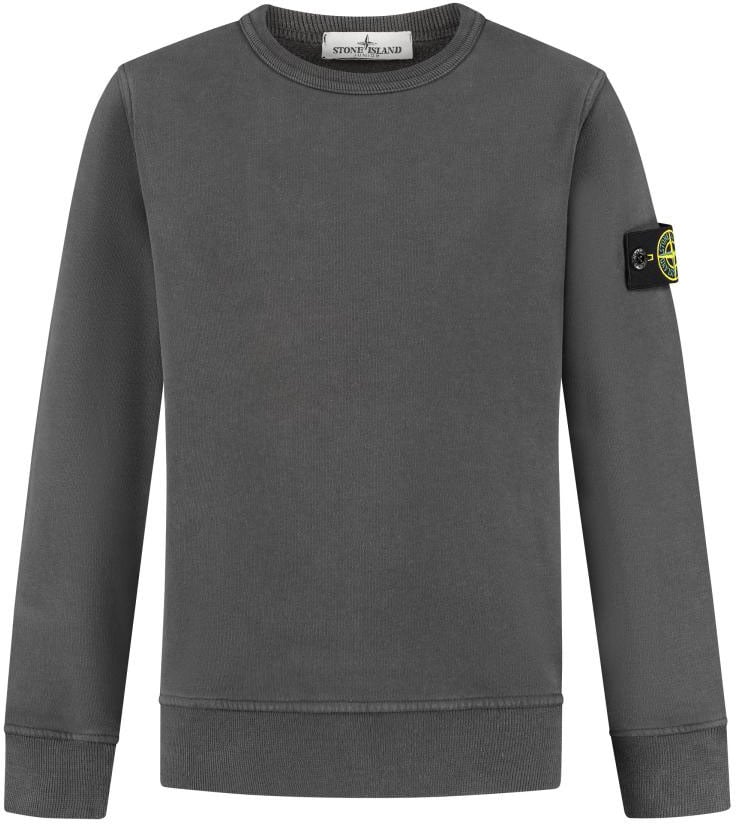 Stone Island Junior Sweatshirt Grijs