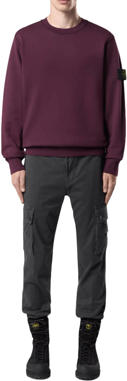 Stone Island ORGANIC COTTON FLEECE SWEATSHIRT AMARANTH Rood