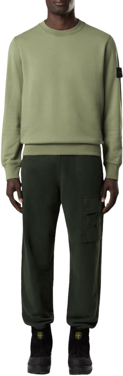 Stone Island ORGANIC COTTON FLEECE SWEATSHIRT GREEN Groen