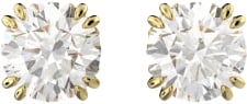 Swarovski Swarovski 5642595 Constella Oorstekers Divers