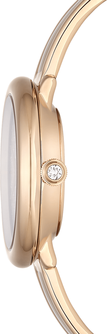 Swarovski Crystalline Horloge Divers