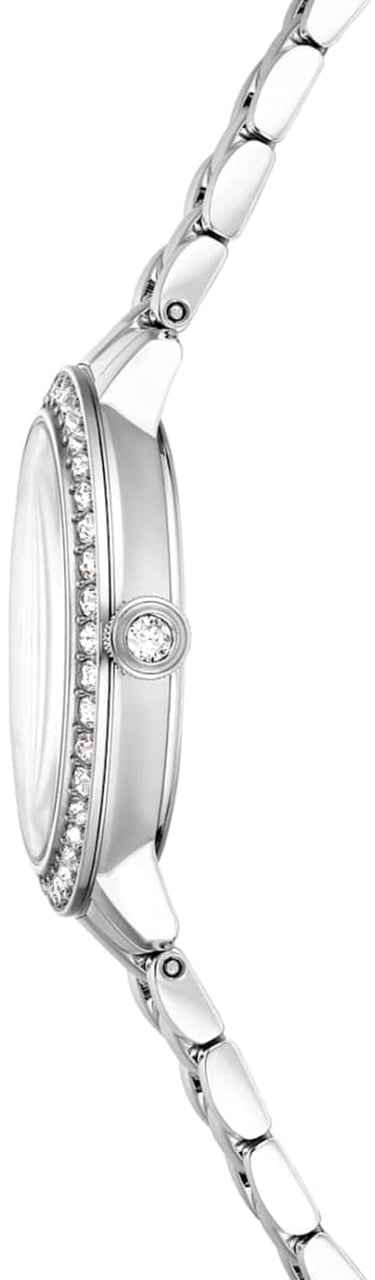 Swarovski Horloge Divers