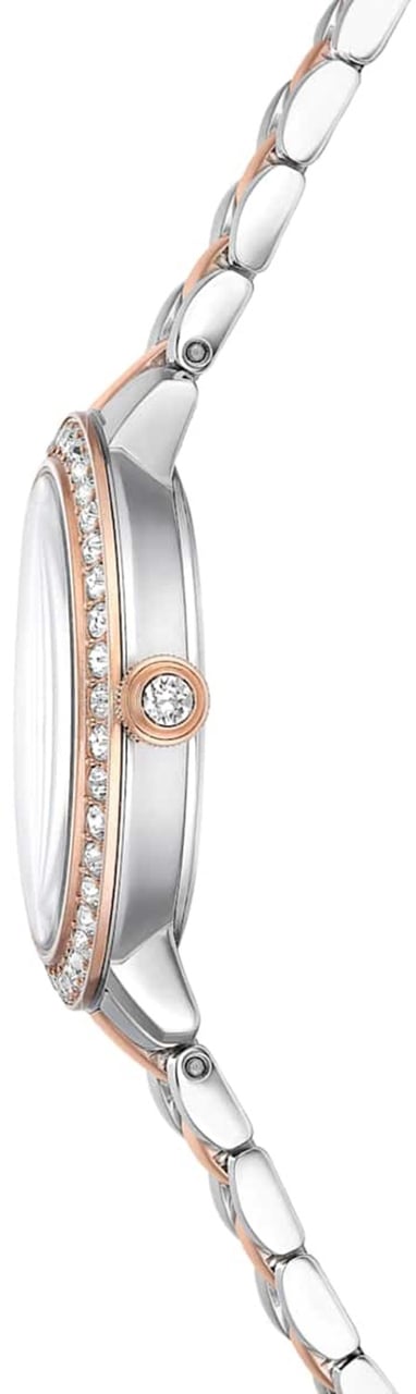 Swarovski Horloge Divers