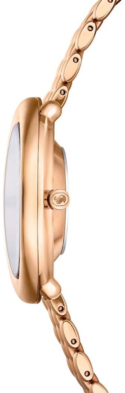 Swarovski Horloge Divers