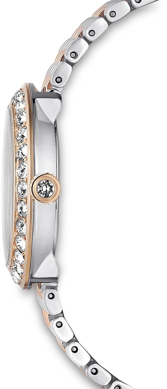 Swarovski Certa - Horloge - Zilver Divers