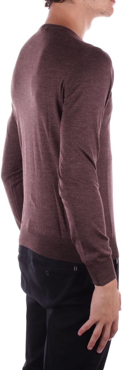 Tagliatore Sweaters Brown Bruin