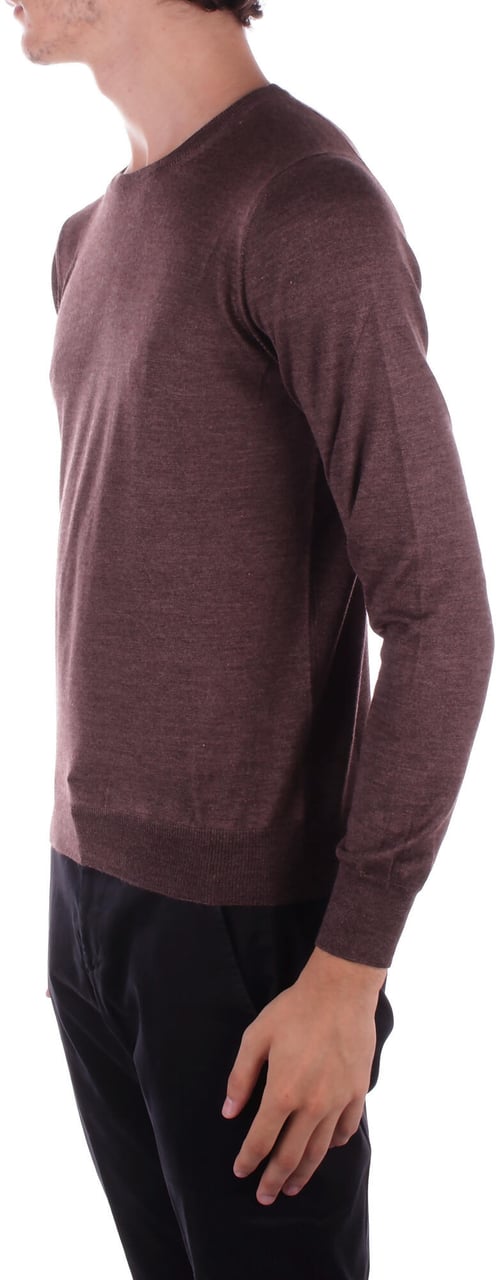 Tagliatore Sweaters Brown Bruin