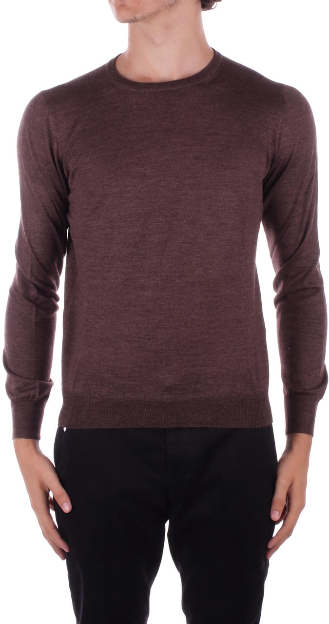 Tagliatore Sweaters Brown Bruin