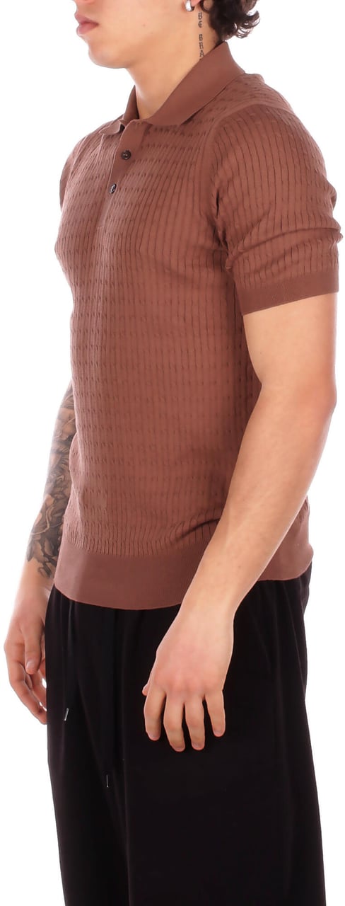Tagliatore T-Shirts And Polos Brown Bruin