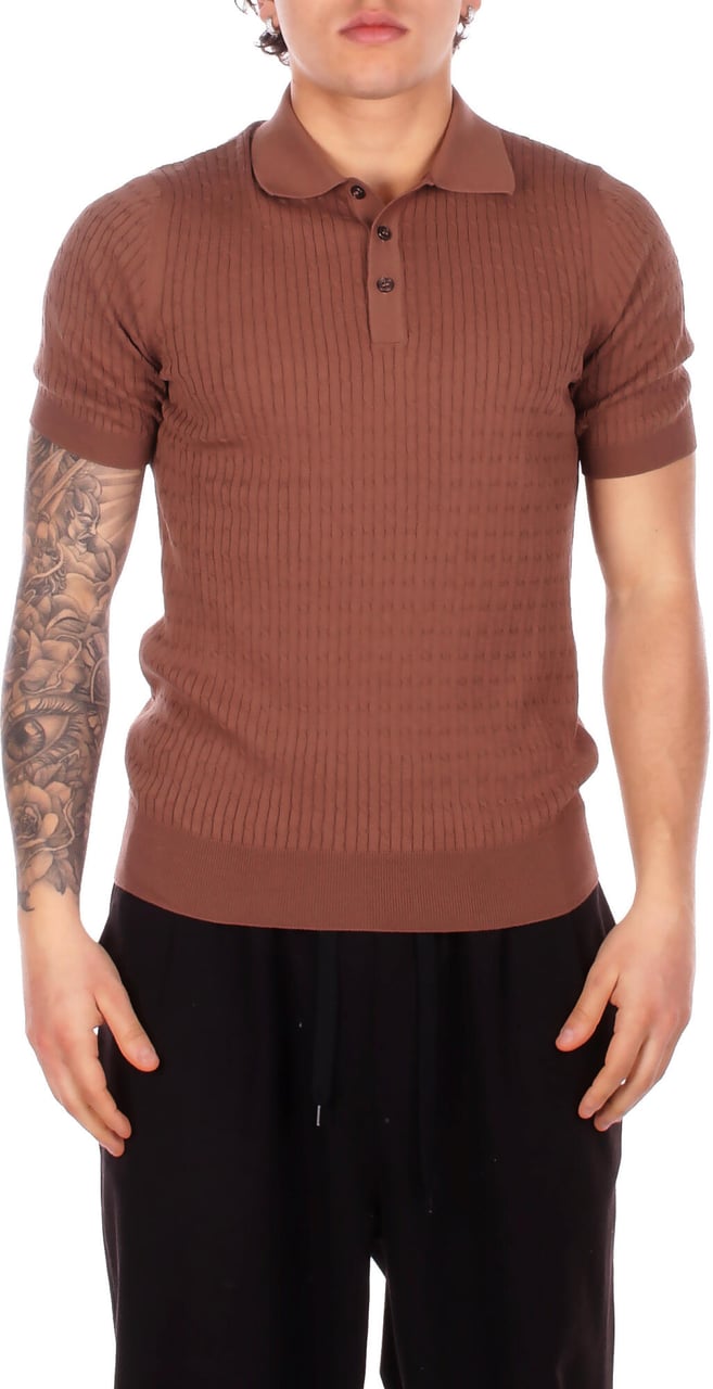 Tagliatore T-Shirts And Polos Brown Bruin