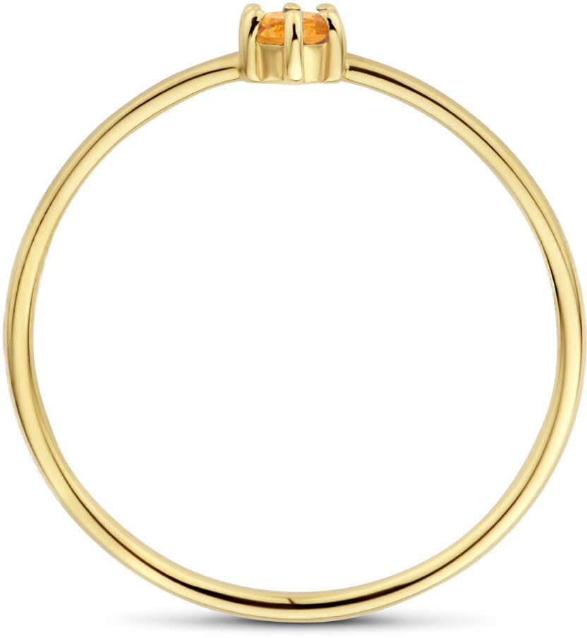 The House Of Blinckers THOB Ring 40.21456/17.5 14k Geelgoud met 0.125ct Citrien 4mm Maat 17.5 (November) Goud