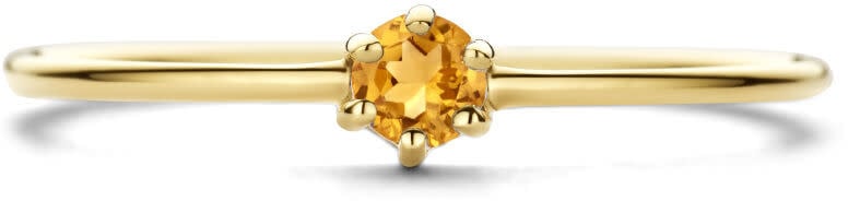 The House Of Blinckers THOB Ring 40.21456/17.5 14k Geelgoud met 0.125ct Citrien 4mm Maat 17.5 (November) Goud