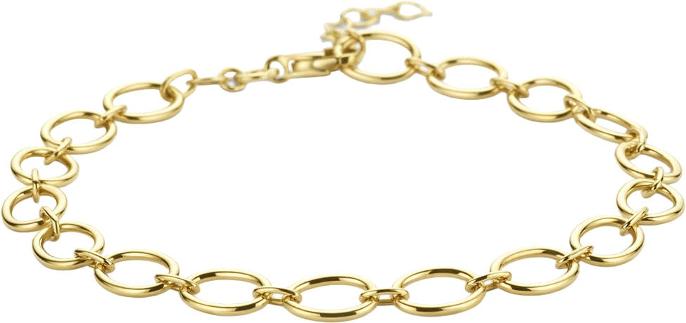 The House Of Blinckers THOB Armband 40.27292 14k Geelgoud Ovaal Schakel 6mm 17+2cm Goud