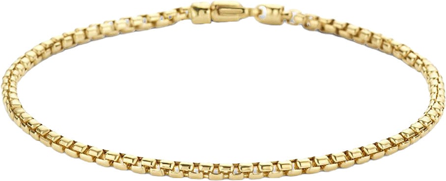 The House Of Blinckers THOB Armband 40.27310 20cm 14k Geelgoud Venetiaan Bol 2.5mm 20cm Goud