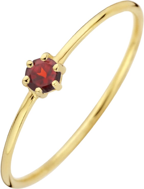 The House Of Blinckers THOB Ring 40.27602/16.5 14k Geelgoud met 0.14ct Granaat 4mm Maat 16.5 (Januari) Goud