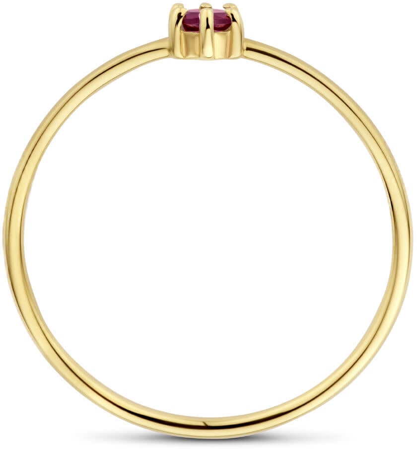 The House Of Blinckers THOB Ring 40.27602/16.5 14k Geelgoud met 0.14ct Granaat 4mm Maat 16.5 (Januari) Goud