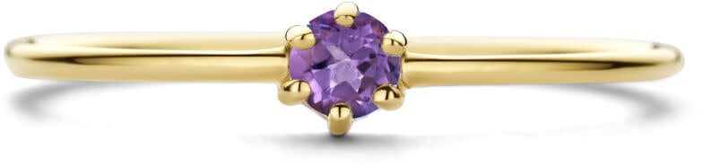 The House Of Blinckers THOB Ring 40.27634/17 14k Geelgoud met Amethist 4mm Maat 17 (Februari) Goud