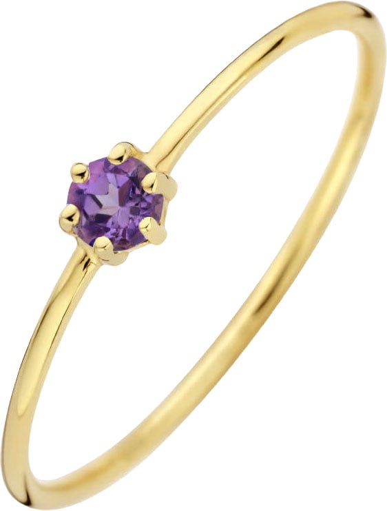 The House Of Blinckers THOB Ring 40.27634/17 14k Geelgoud met Amethist 4mm Maat 17 (Februari) Goud