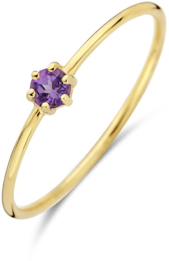 The House Of Blinckers THOB Ring 40.27634/17 14k Geelgoud met Amethist 4mm Maat 17 (Februari) Goud