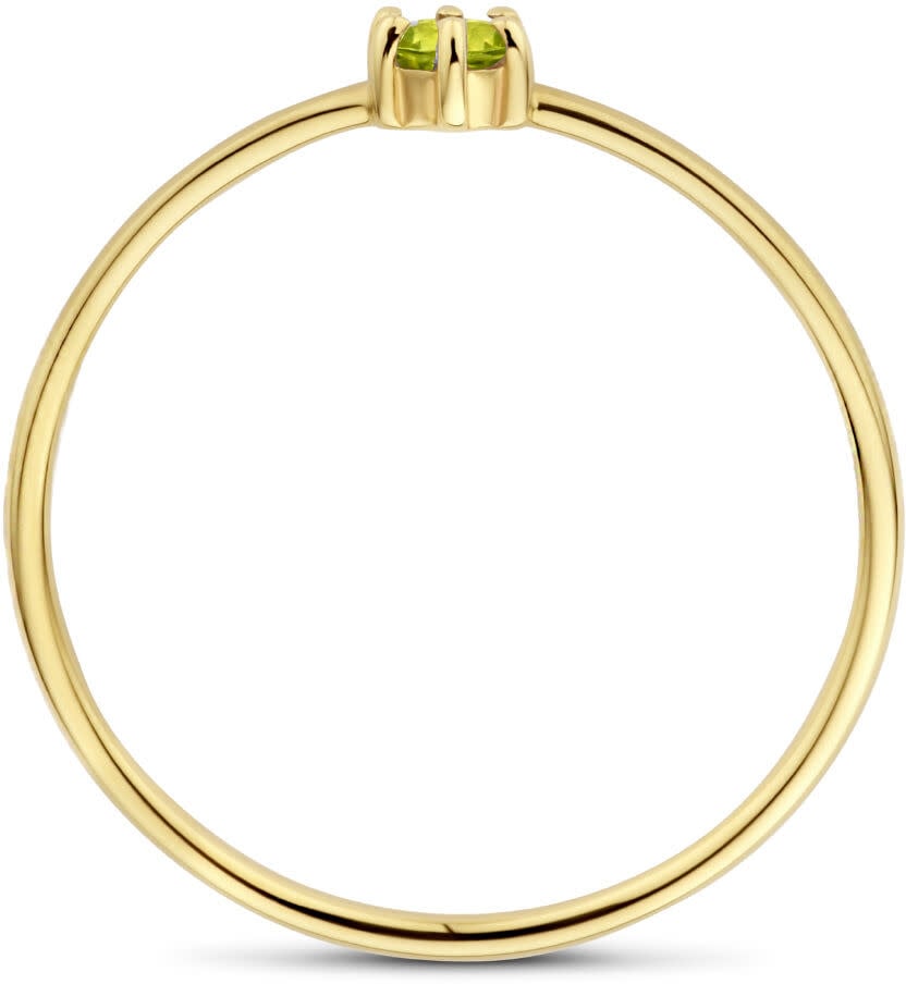The House Of Blinckers THOB Ring 40.27660/16.5 14k Geelgoud met Periodt 4mm Maat 16,5 (Augustus) Goud