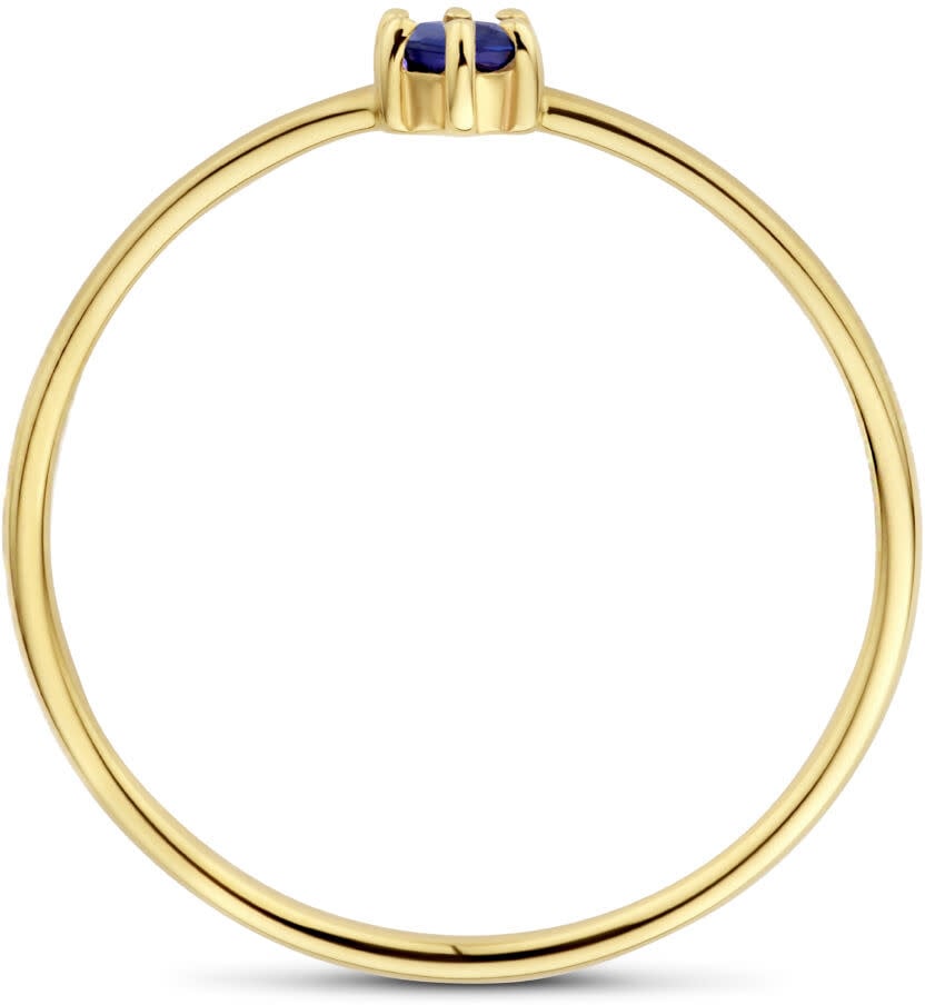 The House Of Blinckers THOB Ring 40.27666/16.5 14k Geelgoud met 0.14crt Saffier 4mm Maat 16.5 (September) Goud