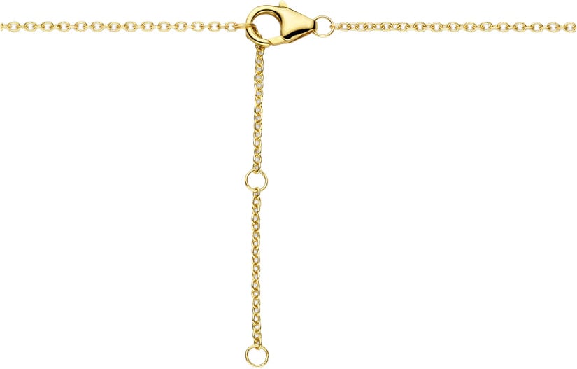The House Of Blinckers THOB Collier 40.32215 14k Geelgoud met 0.25 ct GH SI Diamant 40-44cm Goud