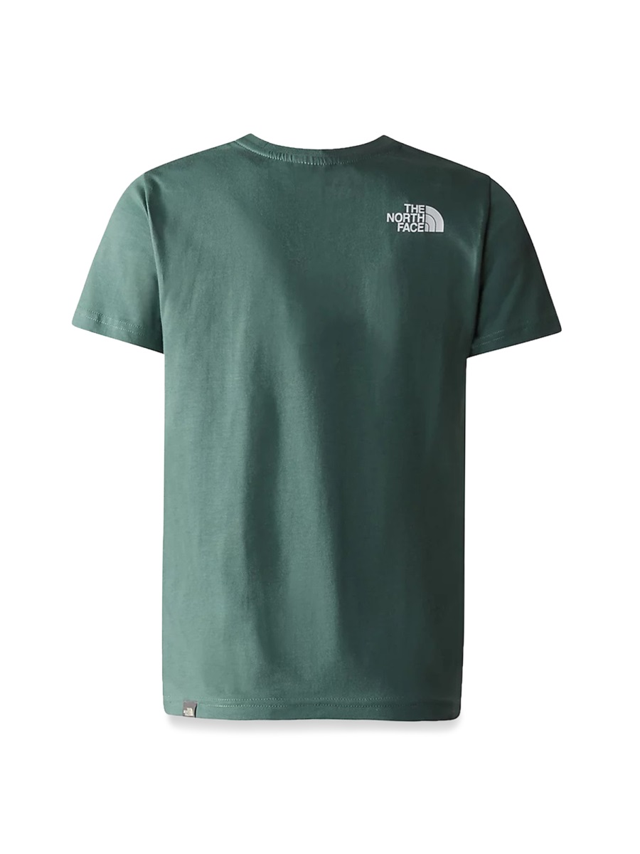 The North Face redbox tee Groen