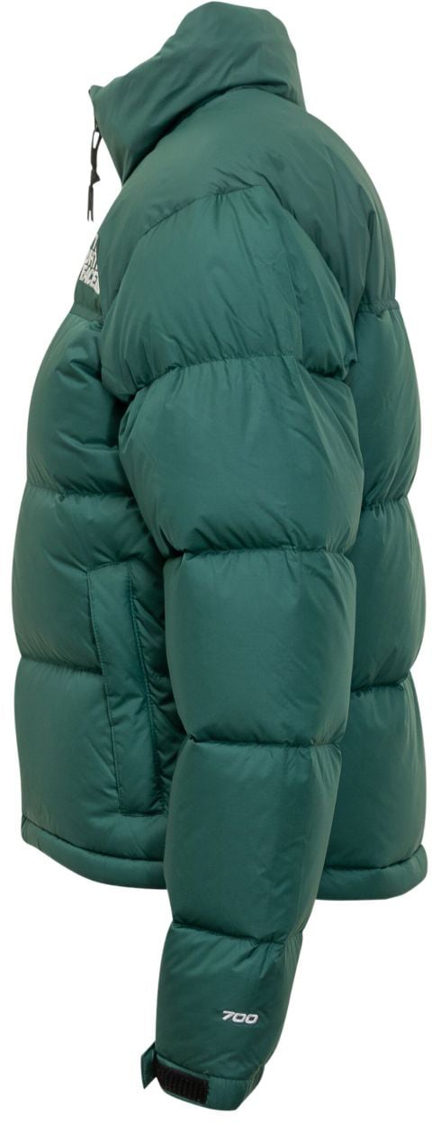 The North Face Coats Green Groen