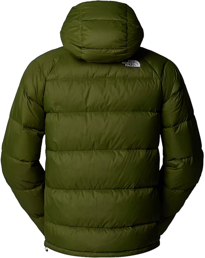 The North Face Coats Green Groen