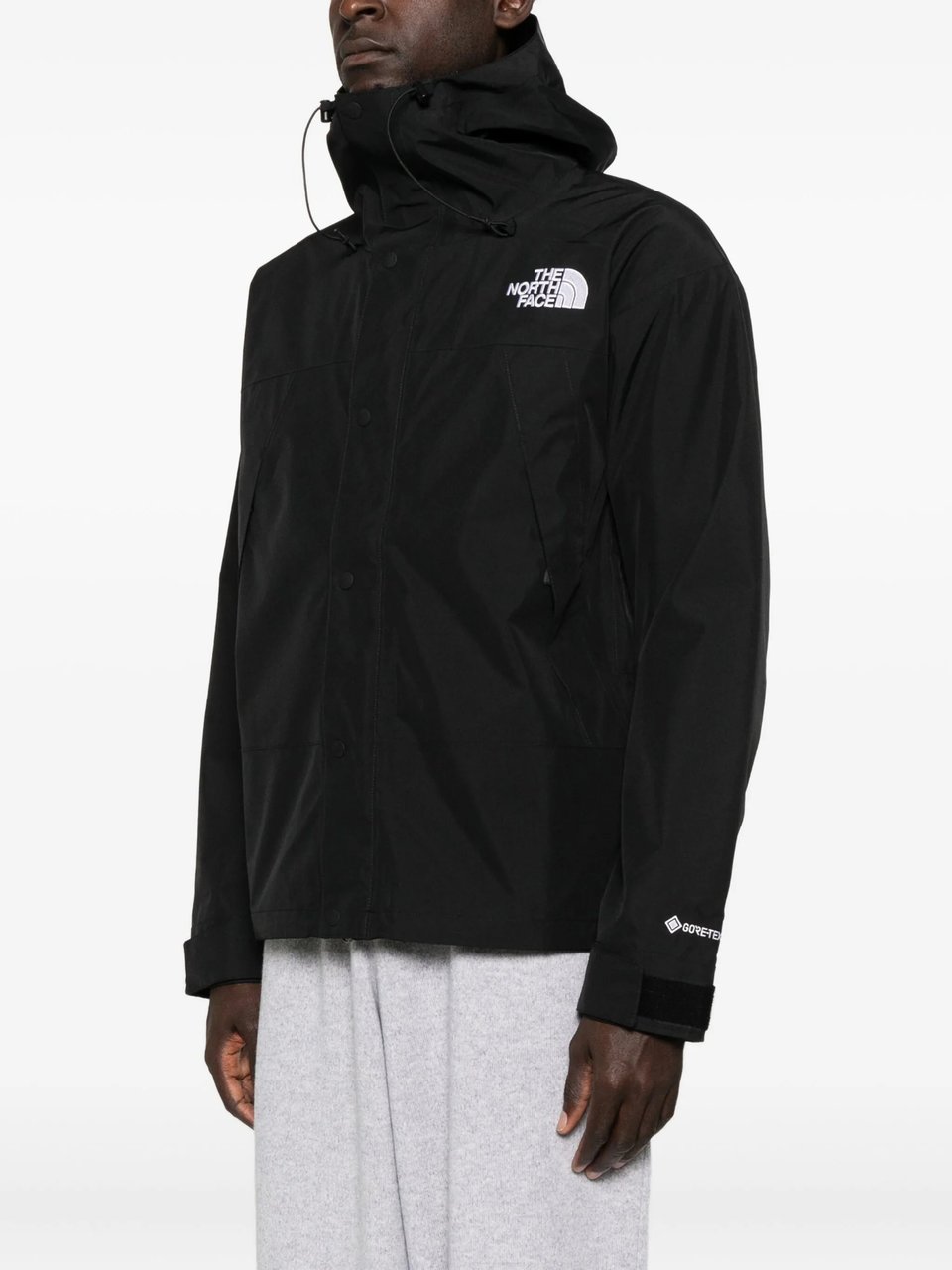 The North Face m gtx mountain jacket divers Divers