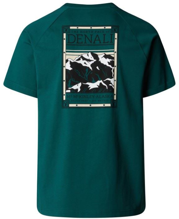 The North Face North Faces S/S Groen