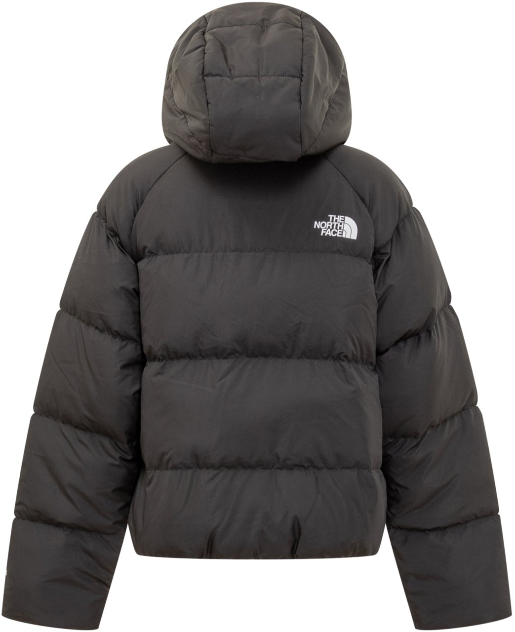 The North Face The North Face Piumino Con Cappuccio Zwart
